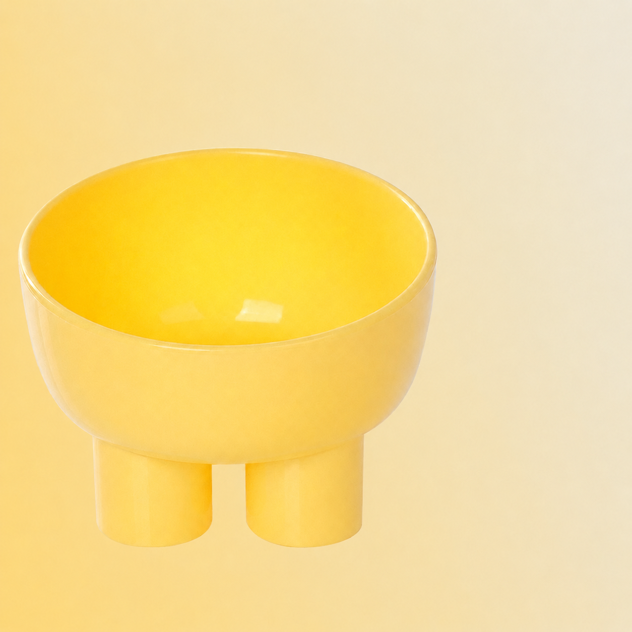 15° Raised Tilted Pet Bowl