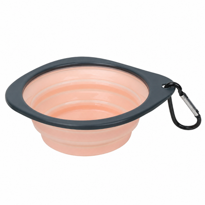 Collapsible Pet Travel Bowl with Carabiner