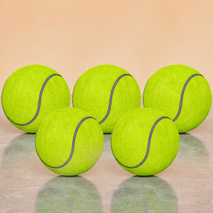 Bouncy Floating Dog Tennis Ball
