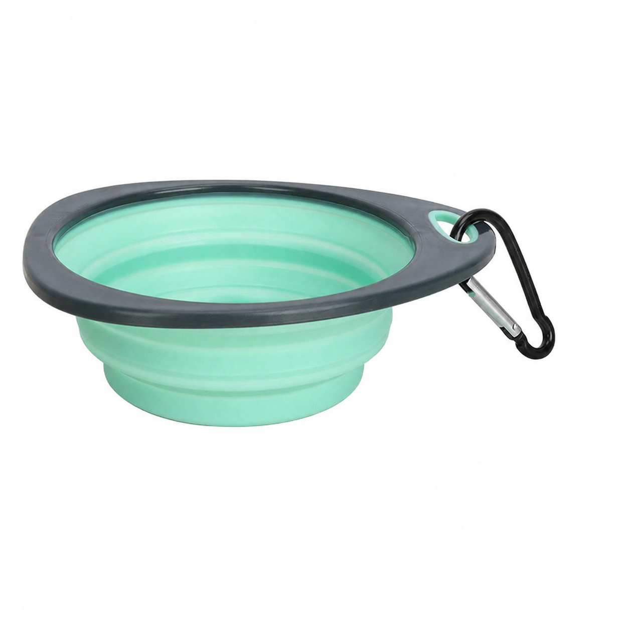 Collapsible Pet Travel Bowl with Carabiner