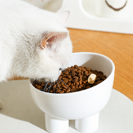 15° Raised Tilted Pet Bowl