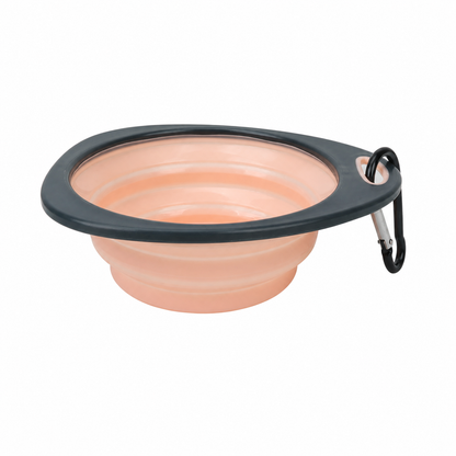 Collapsible Pet Travel Bowl with Carabiner