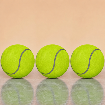 Bouncy Floating Dog Tennis Ball