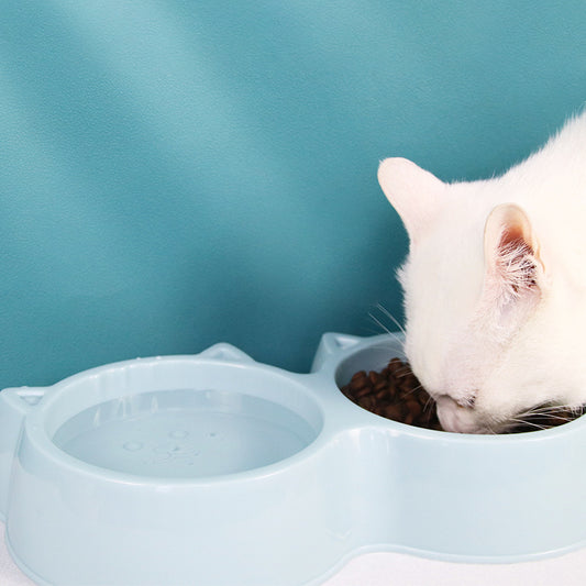 Cute Double Cat Food & Water Bowl