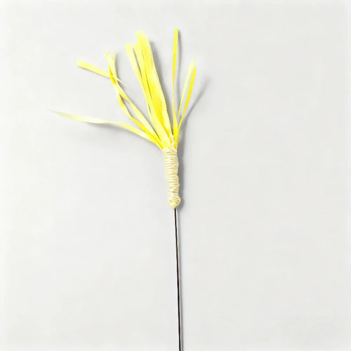 Foxtail Cat Teaser Wand with Bell