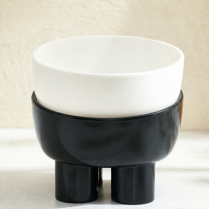 15° Raised Tilted Pet Bowl