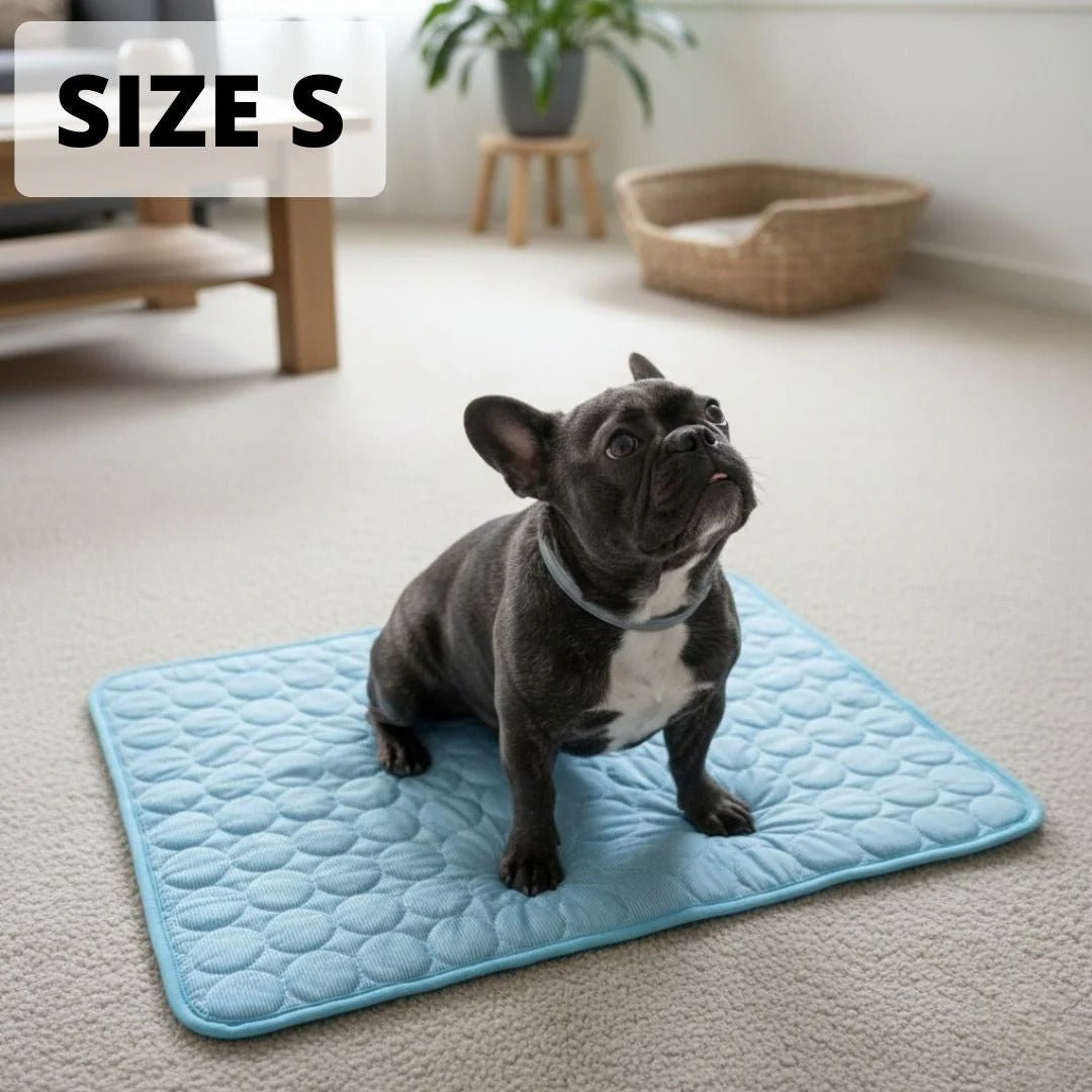 ❄️ ❄️ Instant Relief from Hot Days - Up to 49% OFF Today Only! 🐱Pet Cooling Mat Made of Ice Silk