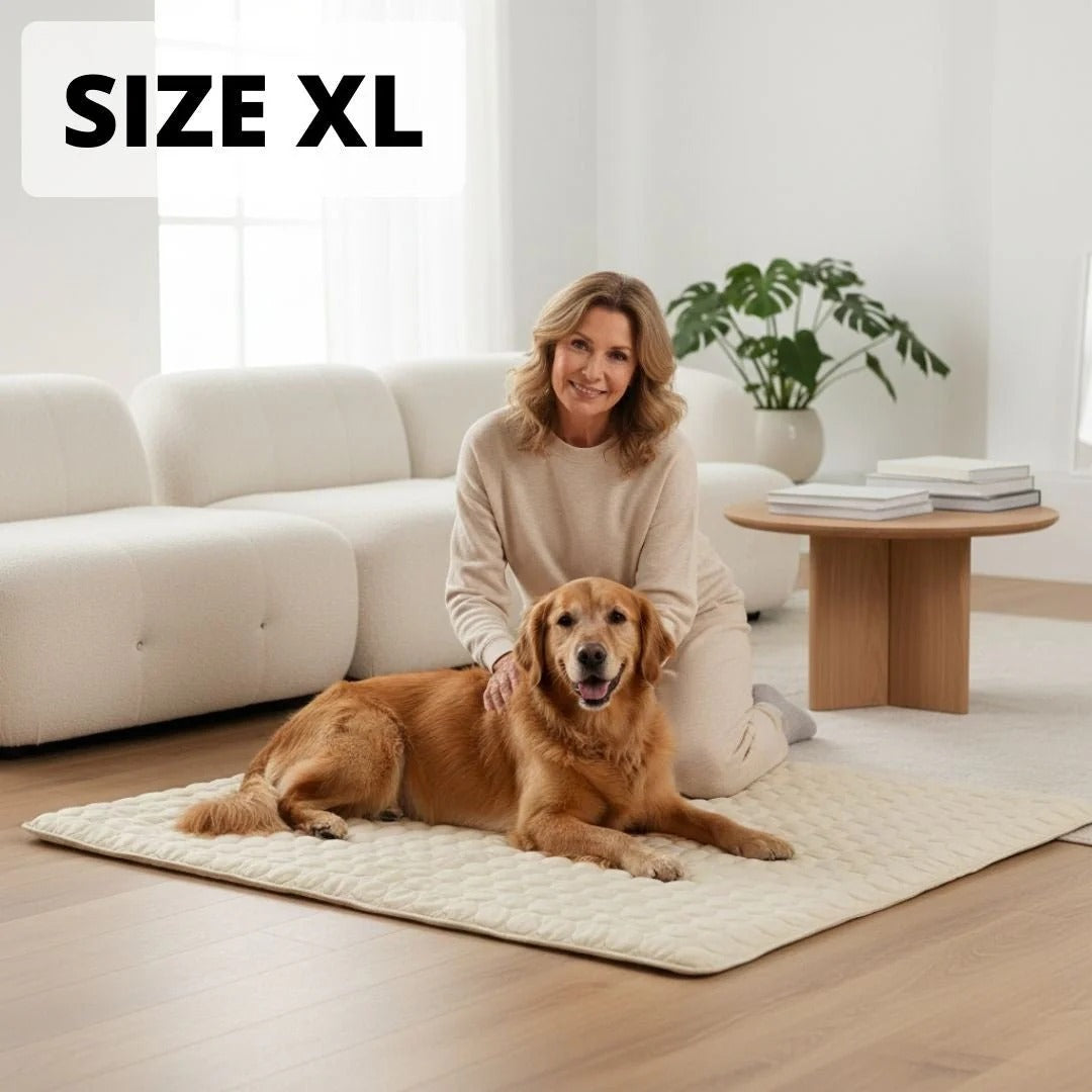 ❄️ ❄️ Instant Relief from Hot Days - Up to 49% OFF Today Only! 🐱Pet Cooling Mat Made of Ice Silk