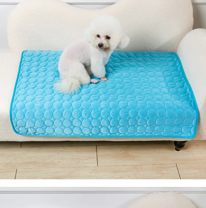 ❄️ ❄️ Instant Relief from Hot Days - Up to 49% OFF Today Only! 🐱Pet Cooling Mat Made of Ice Silk