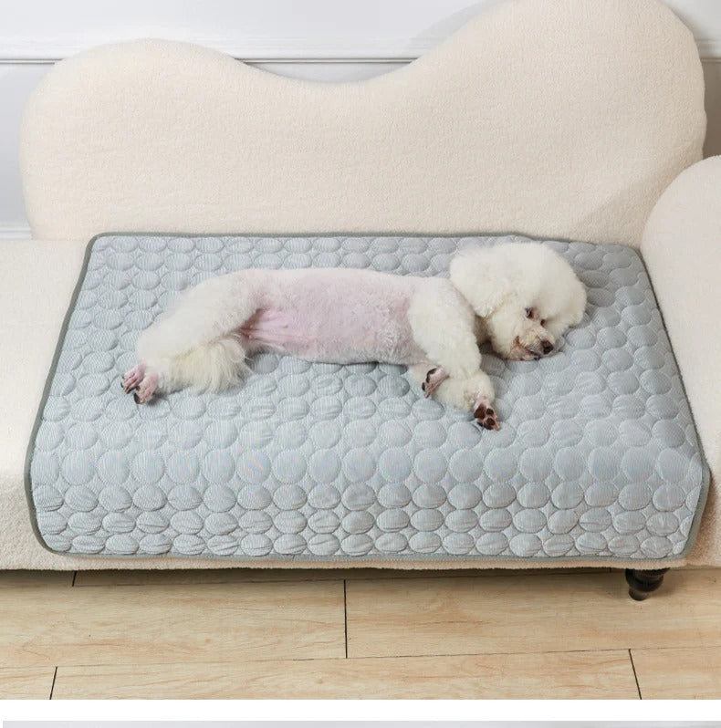 ❄️ ❄️ Instant Relief from Hot Days - Up to 49% OFF Today Only! 🐱Pet Cooling Mat Made of Ice Silk