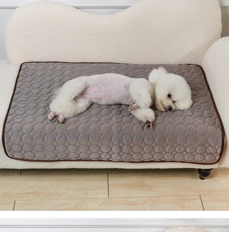 ❄️ ❄️ Instant Relief from Hot Days - Up to 49% OFF Today Only! 🐱Pet Cooling Mat Made of Ice Silk